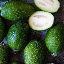 新西兰毛利瓜怎么吃,新西兰毛利瓜的多样食用方式探索