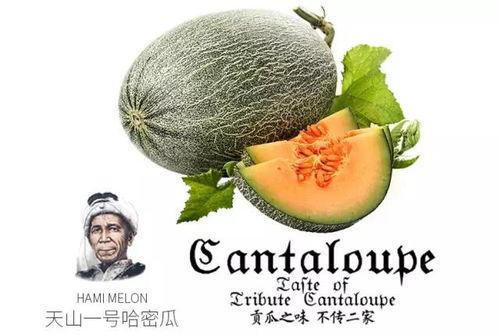 吃瓜推荐公众号,吃瓜群众必看的明星幕后故事