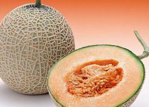 正畸人吃哈密瓜,哈密瓜的甜蜜矫正之旅