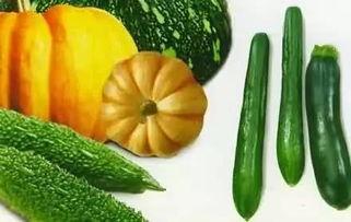 吃瓜吃瓜吃瓜啦,揭秘吃瓜群众的狂欢盛宴