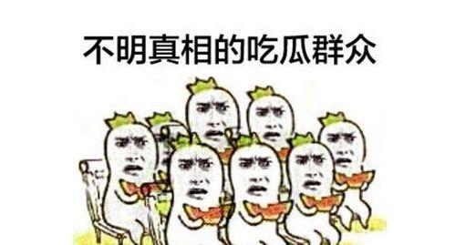 穿书里吃瓜群众,吃瓜群众眼中的穿书风云