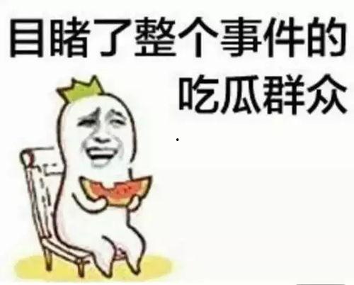 穿书里吃瓜群众,吃瓜群众眼中的穿书风云