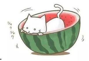 遇见神鹿吃瓜图片,一场吃瓜盛宴背后的神秘传说